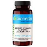 CHICKEN COLLAGEN TYPE II - 2-es Típusú Csirkeporc Kollagén - Ízület, Porc, Csont, Haj, Köröm, Bőr Támogatás - 100 Kapszula - Bioherba